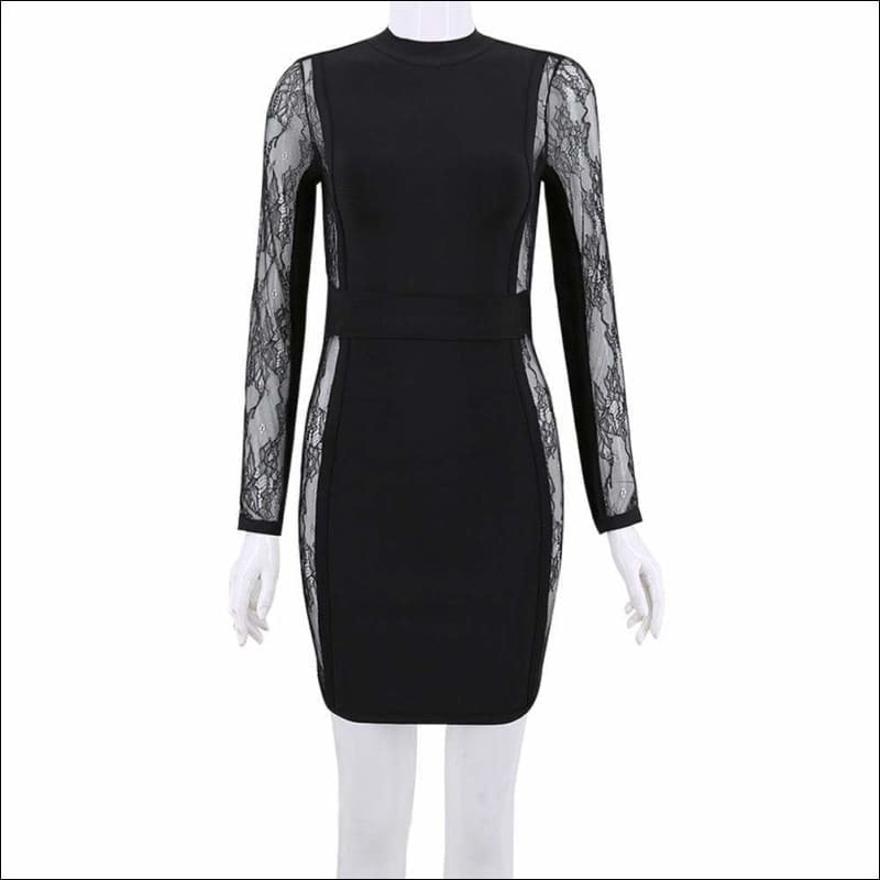 Winnal Black Lace Long Sleeve High Neck Blackless Bodycon Dress
