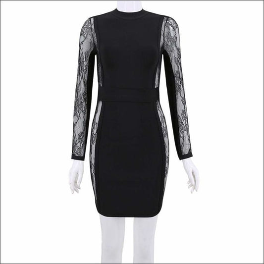 Winnal Black Lace Long Sleeve High Neck Blackless Bodycon Dress