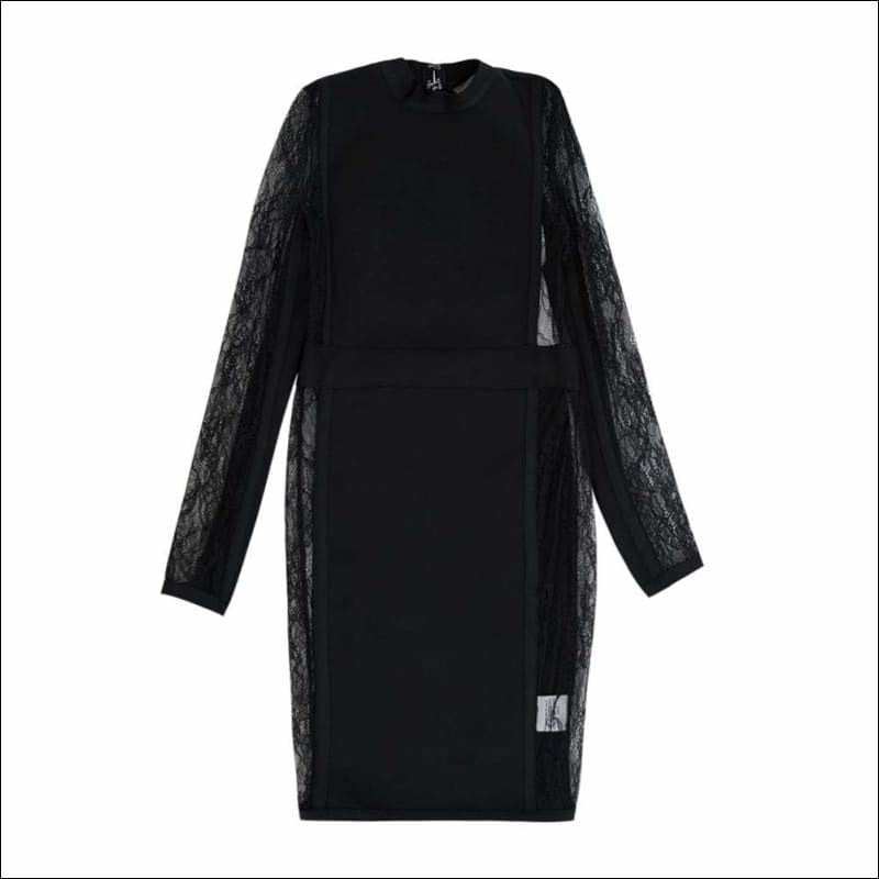 Winnal Black Lace Long Sleeve High Neck Blackless Bodycon Dress