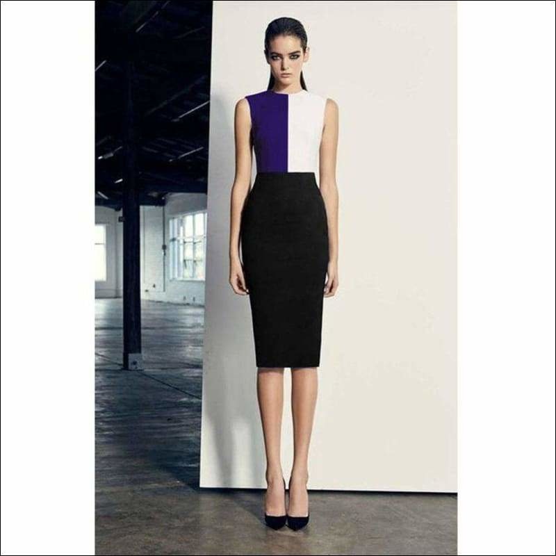 Winnal Sexy Sleeveless Round Neck Color Block Bodycon Dress For Women