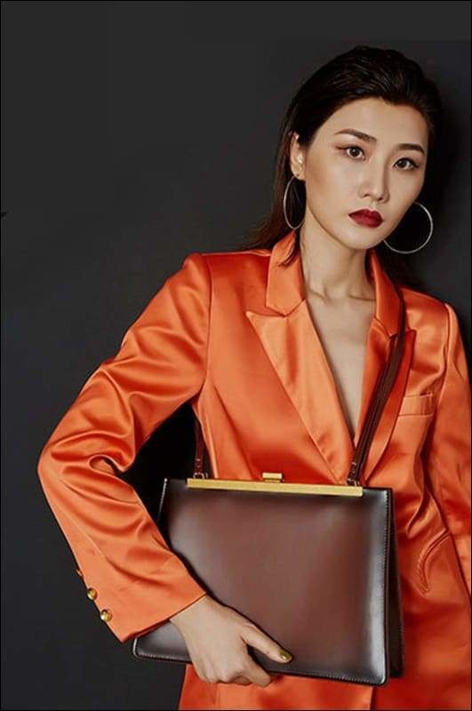 Womens Long Handle Clasp Cross Body Messenger Clutch Bag